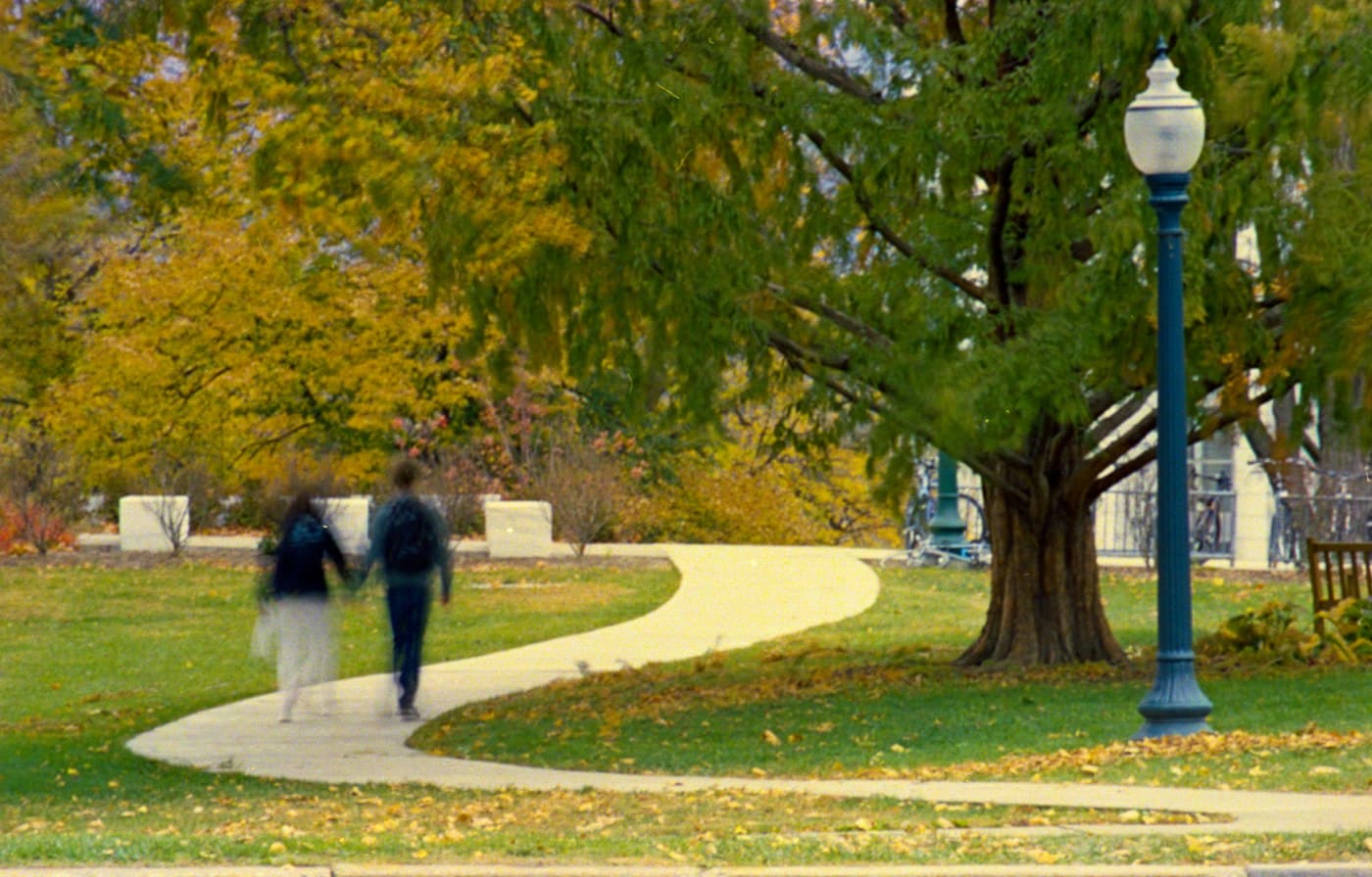 Two people walking down a tree-lined path in autumn