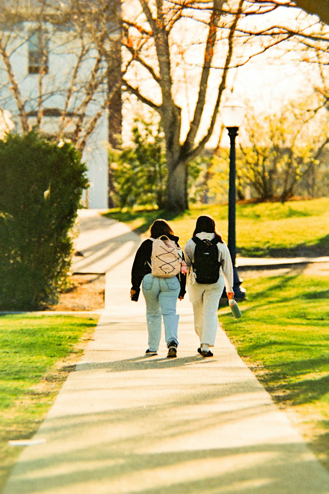 Two students with backpacks walking down a leafy campus path